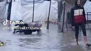 ياوجع القلب