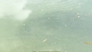 Apa yang berada di dalam air