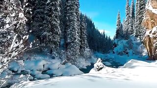 Winter is the time when we come together to share warmth and love!