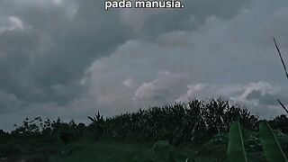 Kata kata buat story