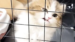 I Found My Long Lost Twin! ????