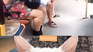 Funny catoo