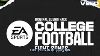 Hot springs fight fight in hot springs arkansas