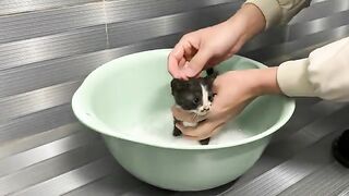 The kitten pooped on me so I had to take a bath