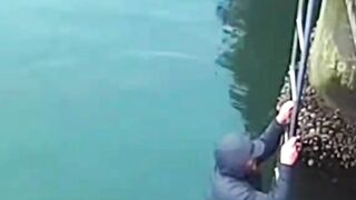 CCTV footage #viralvideo #minicamera #animals #shorts