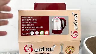 Drama: kittens come out of the box and play outside