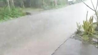 See rain sounds