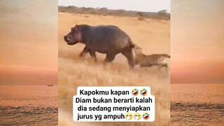 jurus terkahir dari kudanil