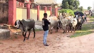 I don dey face my fear now