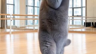 Beautiful video