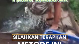 MAU hasil panen lele MELIMPAH silahkan terapkan METODE ini