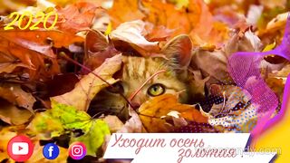 ПРИМОРСК ТАВРИЯ