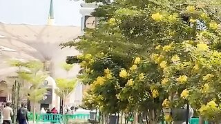Madinah