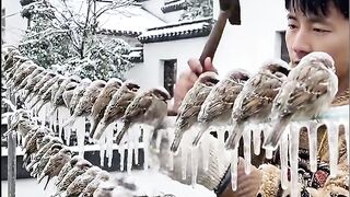 This man saved frozen birds #trending #febspot #viral #ice