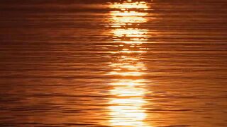 Little Willie bounces back from hunting injury