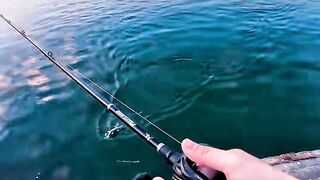 Fishing Is a Journey Within