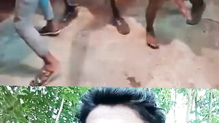 কমিটি ফানি ভিডিও ডান্স  #reelsfyp #reelsfacebook #reelsviral