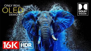 The Best Dolby Vision 16K HDR 60 frames per second (8K Video ULTRA HD)