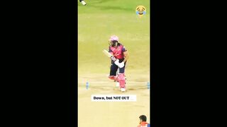 Cricket funny moments that so funny.