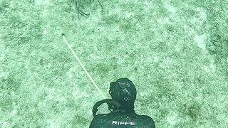 The best tool catching big lobster head shoot