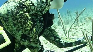 Spearfhising the bahamas best tasting fish one shoot