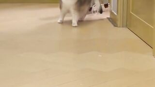 The gift has become my slave