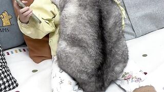 This fat cat is not self-aware