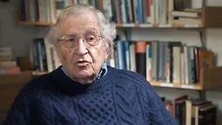 Noam Chomsky _ Un groupe armé menaceTrump et l’ICE _ « Qu’ils se tiennent prêts