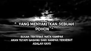 bukan tentang sikapak yang memanfaatkan kayu untuk melukai jenisnya