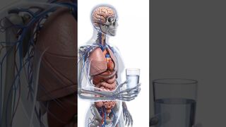 What Takes Place in Your Body If You Just Drink Water for Seven Days?