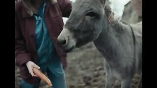 Life of an Innocent donkey turns upside down when he exposed humanity