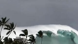 Surfs up! Run! Grab your boards!