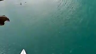 The perfect wave ???? #surfing #ocean