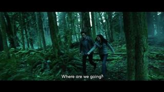 Lionsgate GONSGATE absolute cinema