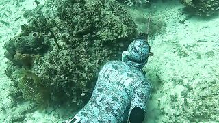 Spearfhising the perfect big lobster underwater