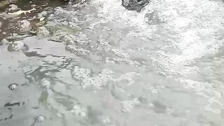 Peaceful River Flow Through Green Rice Fields