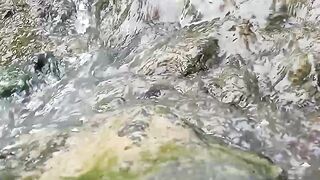 A small river flows on the edge of the rice fields