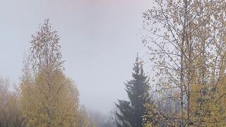 The morning autumn sun breaks through the fog