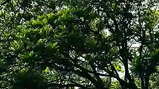 Streak for today ???????????? - Shorts Story Sad #shorts #story #quotes #shortvideo #shortsfeed