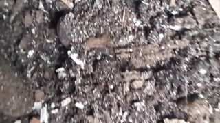 Larva... OmG ????????????????