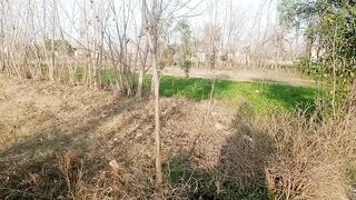 Aor Dobian ka nizara