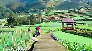 Sukomakmur Tourism #cover #music #song #coversong