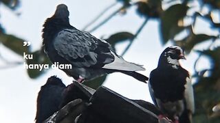 Cinematic