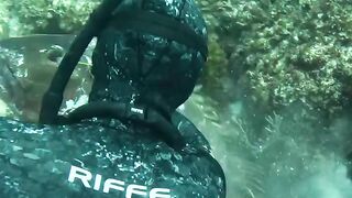 Fighting with giant black grouper big