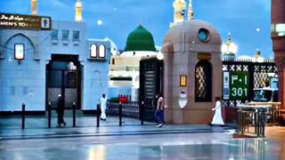 Madina Sharif ❤️ #facts #shorts #viral #factsisgreat