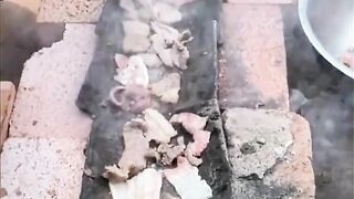 delicious chicken steak