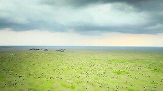 Guepardos de cerca con Bertie Gregory  2026