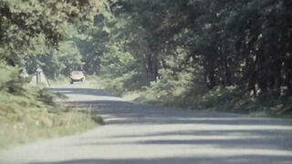 Bitches, The, Les Chiennes 1973 - Michel Lemoine