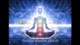 Testicular Torsion   Sound therapy session