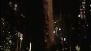 Beichte Einer Liebestollen, Sabena, Hay Country Swingers ) - Alois Brummer